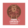 Load image into Gallery viewer, PANAMA | Esmeralda Gesha Bosque 3FC