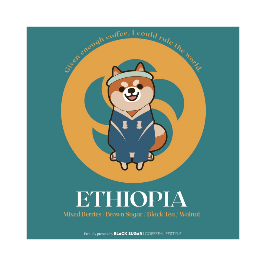 ETHIOPIA 🐻 BS Drip Bags