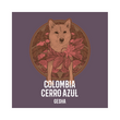 Load image into Gallery viewer, COLOMBIA | Cerro Azul Gesha Hybrid Washed