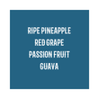 Load image into Gallery viewer, Panama | Abu TN5120 Catuai Anaerobic Natural
