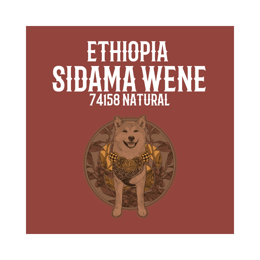 ETHIOPIA | Sidama Wene Natural