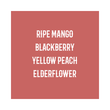 Load image into Gallery viewer, ETHIOPIA | Elto Elora Natural

