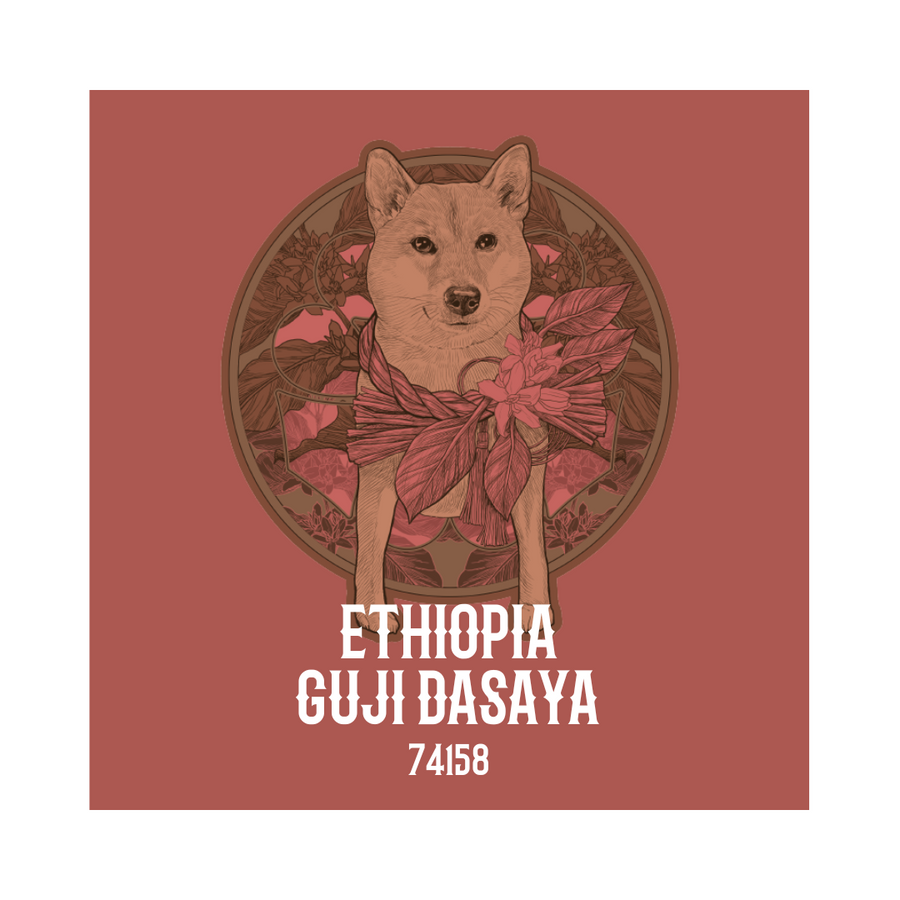 ETHIOPIA | Guji Dasaya Natural