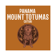 Load image into Gallery viewer, PANAMA | Mount Totumas Cold-ferment Washed Catuai
