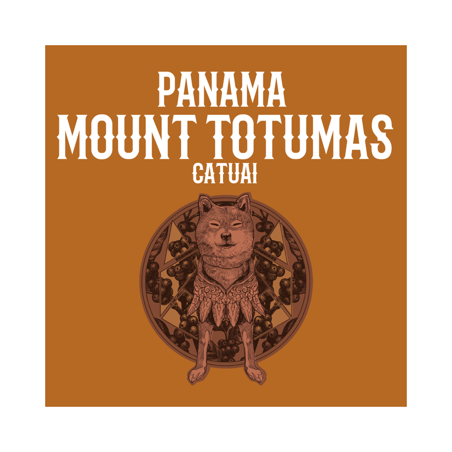 PANAMA | Mount Totumas Cold-ferment Washed Catuai