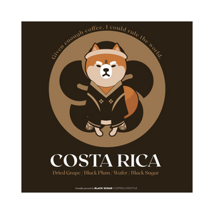COSTA RICA 🐶 BS Drip Bags