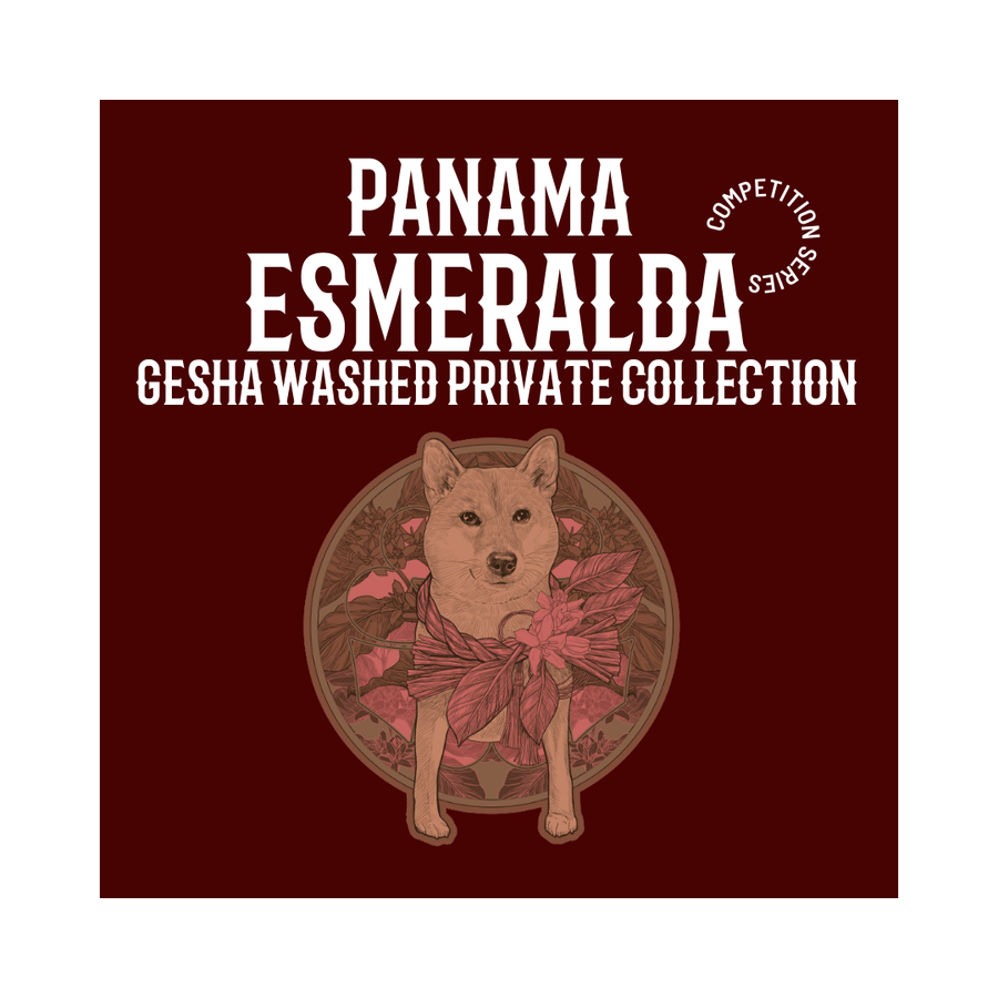 PANAMA | Esmeralda Gesha Classic Washed