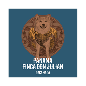 PANAMA | Finca Don Julian Pacamara Natural