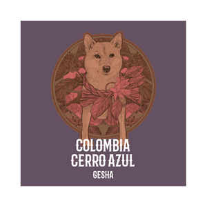 COLOMBIA | Cerro Azul Gesha Hybrid Washed