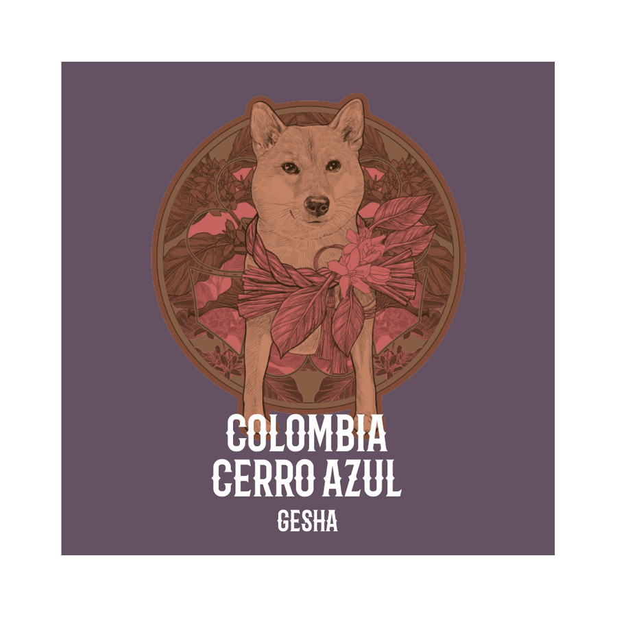 COLOMBIA | Cerro Azul Gesha Hybrid Washed