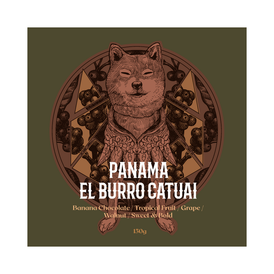 PANAMA | El Burro Catuai