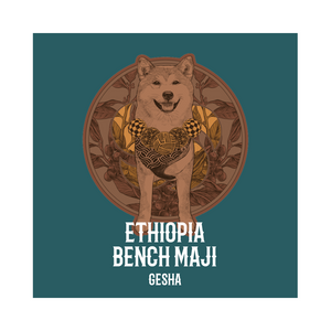 ETHIOPIA | Bench Maji Gesha Washed
