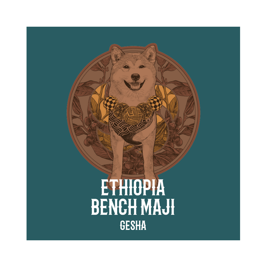 ETHIOPIA | Bench Maji Gesha Washed