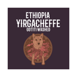 Load image into Gallery viewer, ETHIOPIA | Yirgacheffe Gotiti Washed
