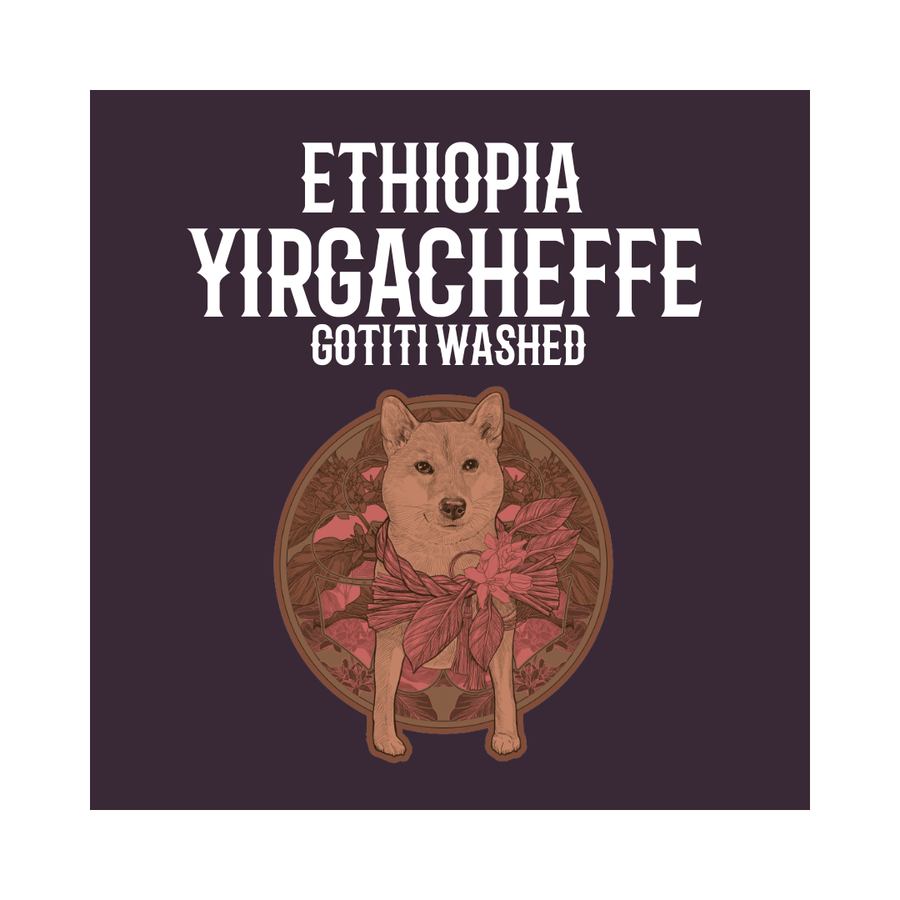 ETHIOPIA | Yirgacheffe Gotiti Washed