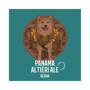 PANAMA | Altieri Ale Gesha River Flow Natural