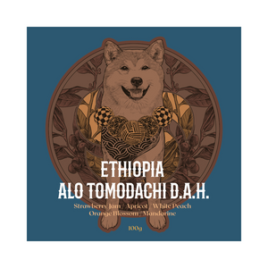 ETHIOPIA | ALO Tomodachi D.A.H.