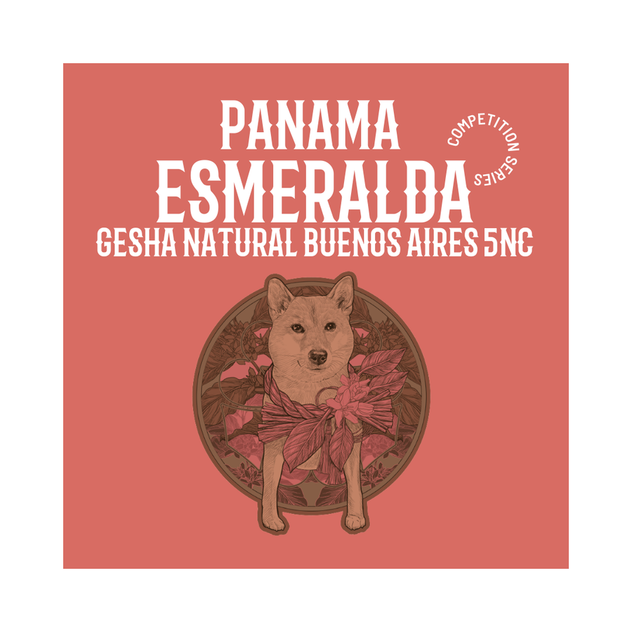 PANAMA | Esmeralda Gesha Natural Buenos Aires 5NC
