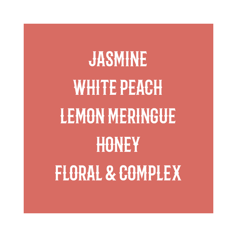 PANAMA | Esmeralda Gesha Natural Buenos Aires 5NC